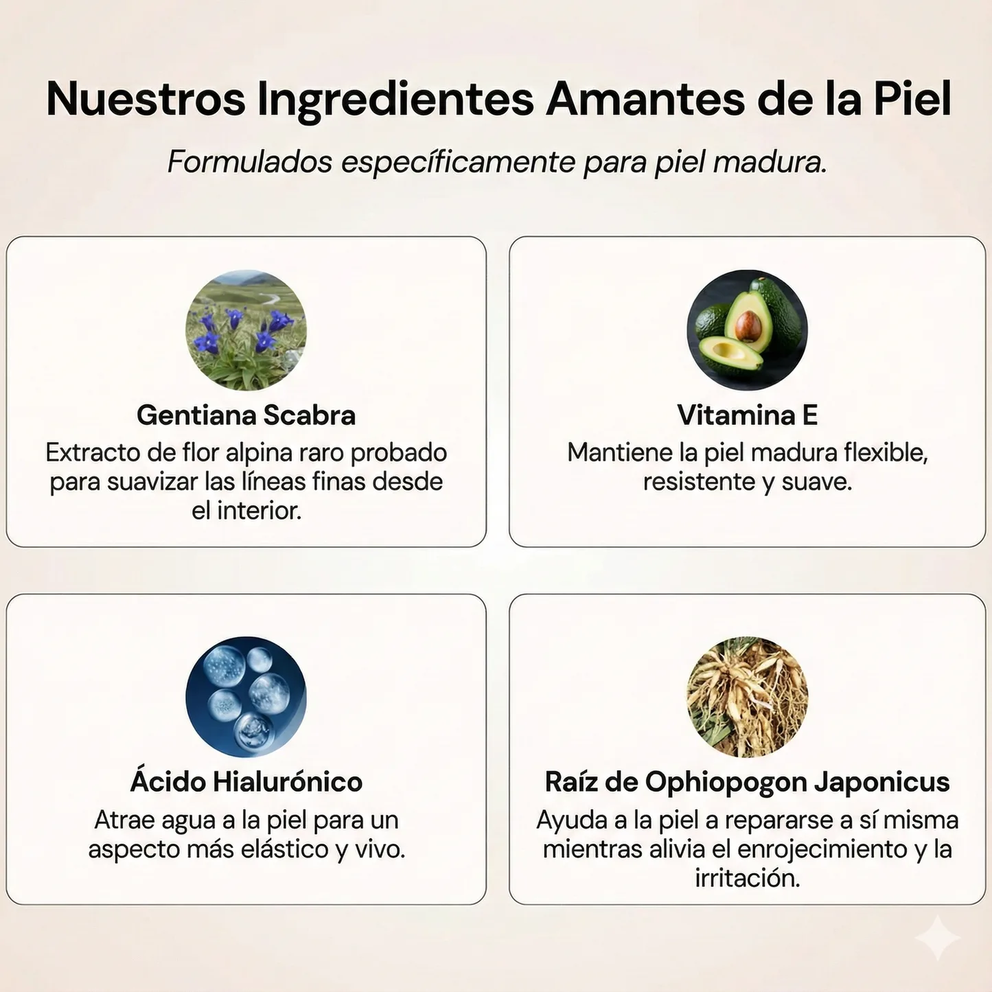 Base de Maquillaje Antiedad SPF 50 | Se Adapta a tu Piel